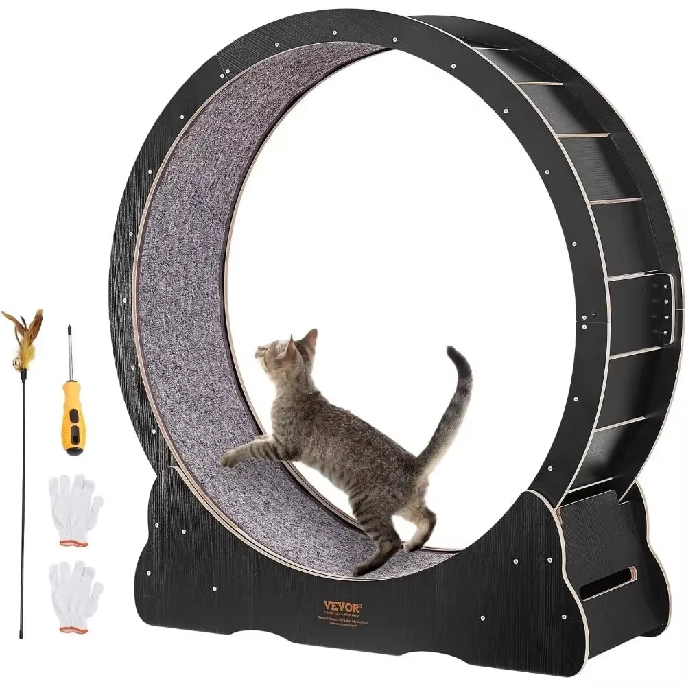 Rueda de Ejercicio para Gato Ultra Silencioso