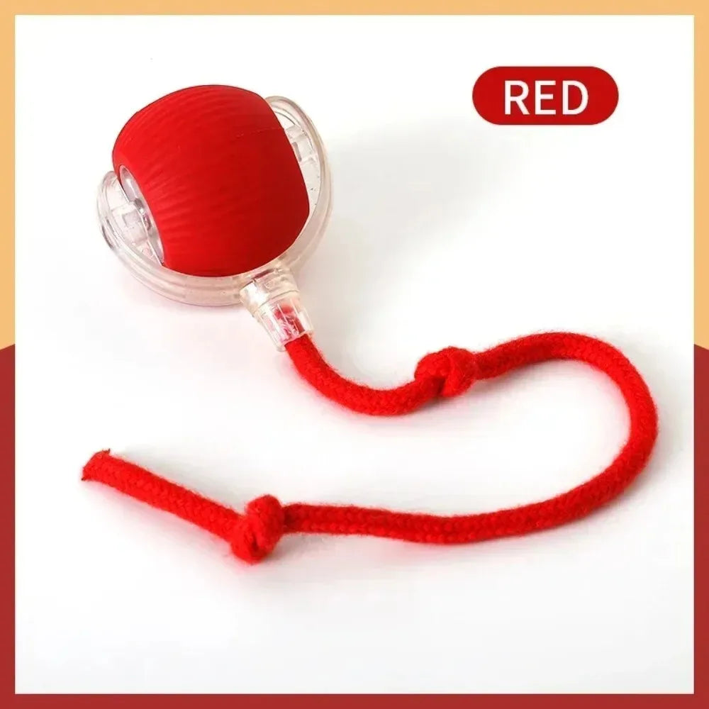 Pelota Interactiva para Gatos