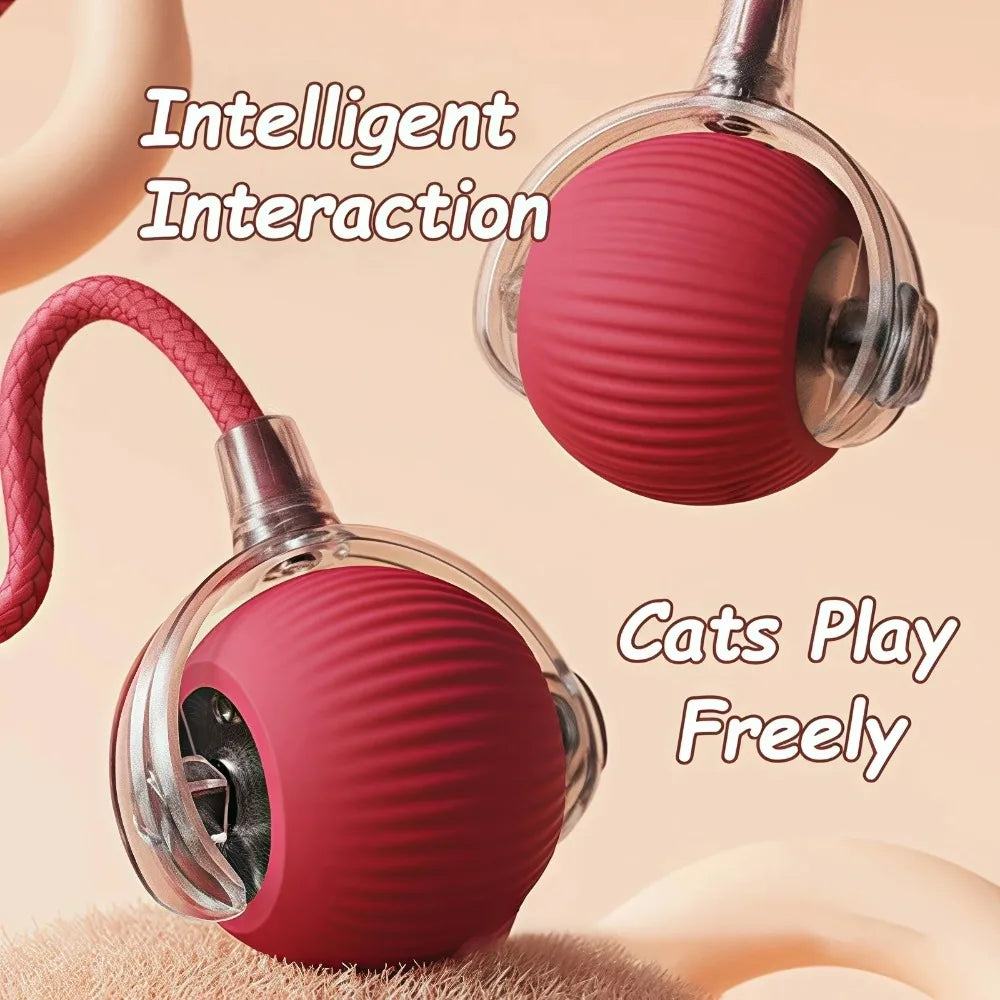Pelota Interactiva para Gatos