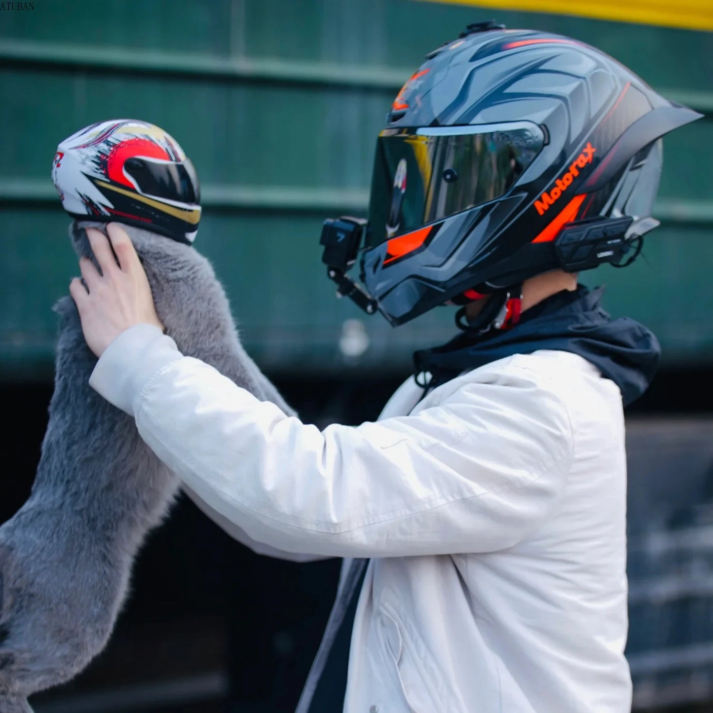 Casco para Mascotas