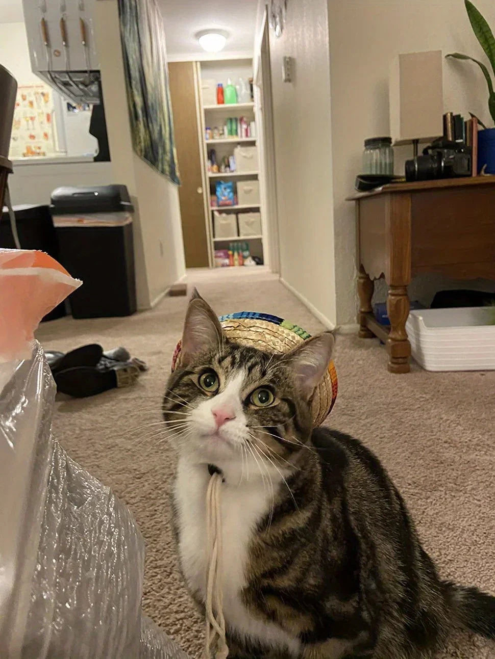 Sombrero de Paja para Mascotas