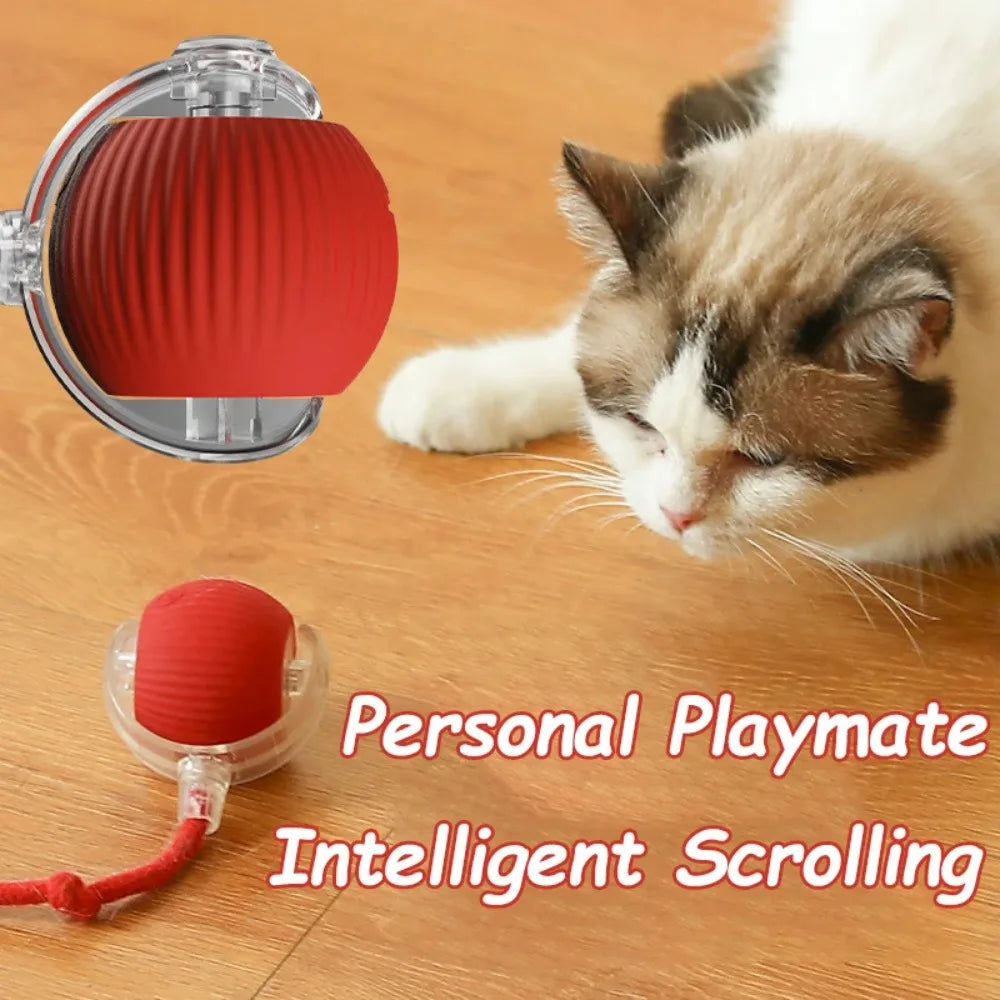 Pelota Interactiva para Gatos