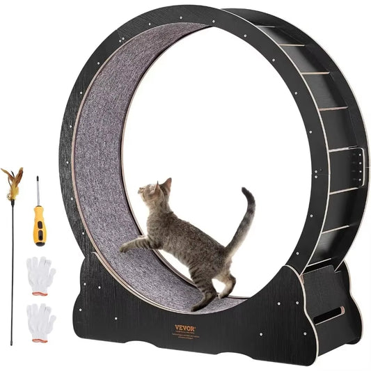 Rueda de Ejercicio para Gato Ultra Silencioso