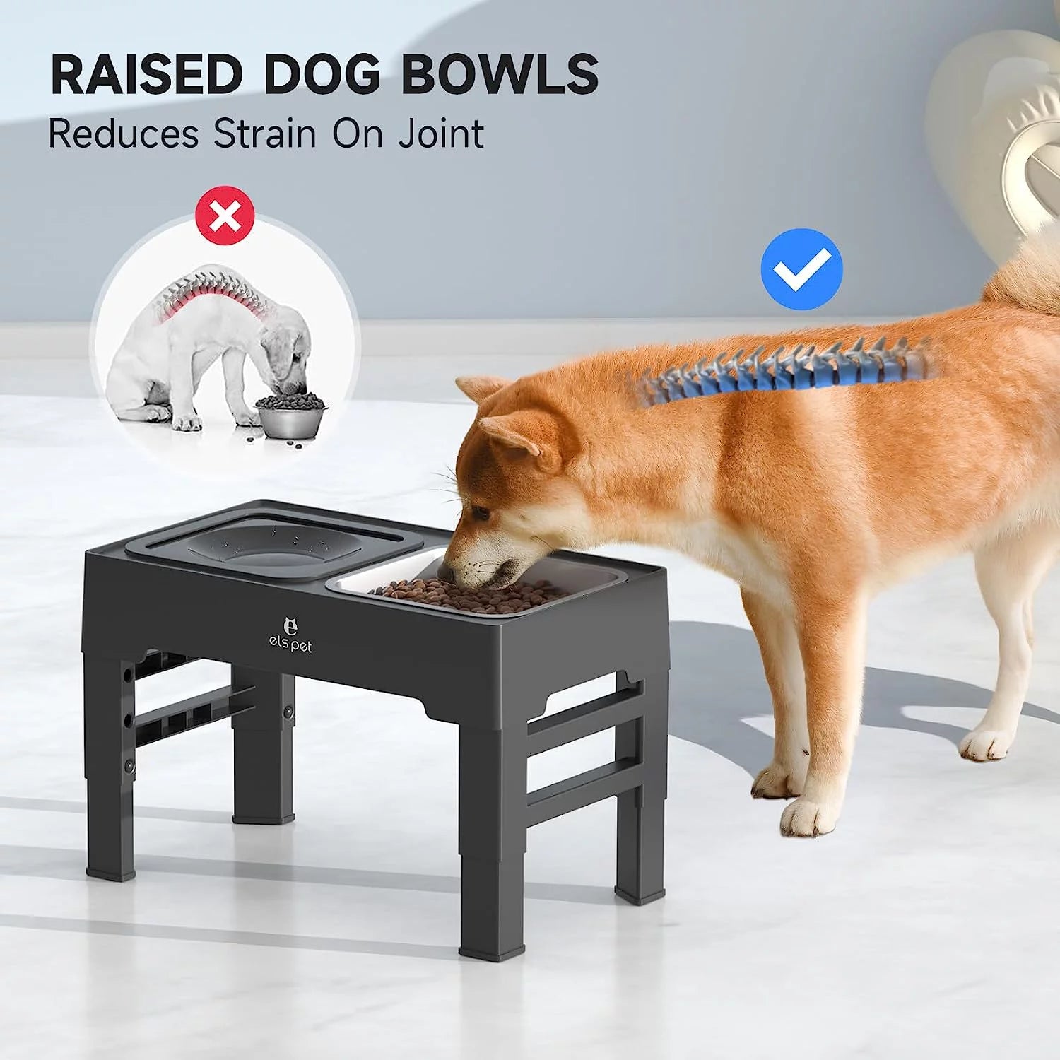 Tazón Ajustable para Perro