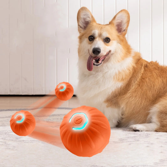 Pelota Inteligente para Perro