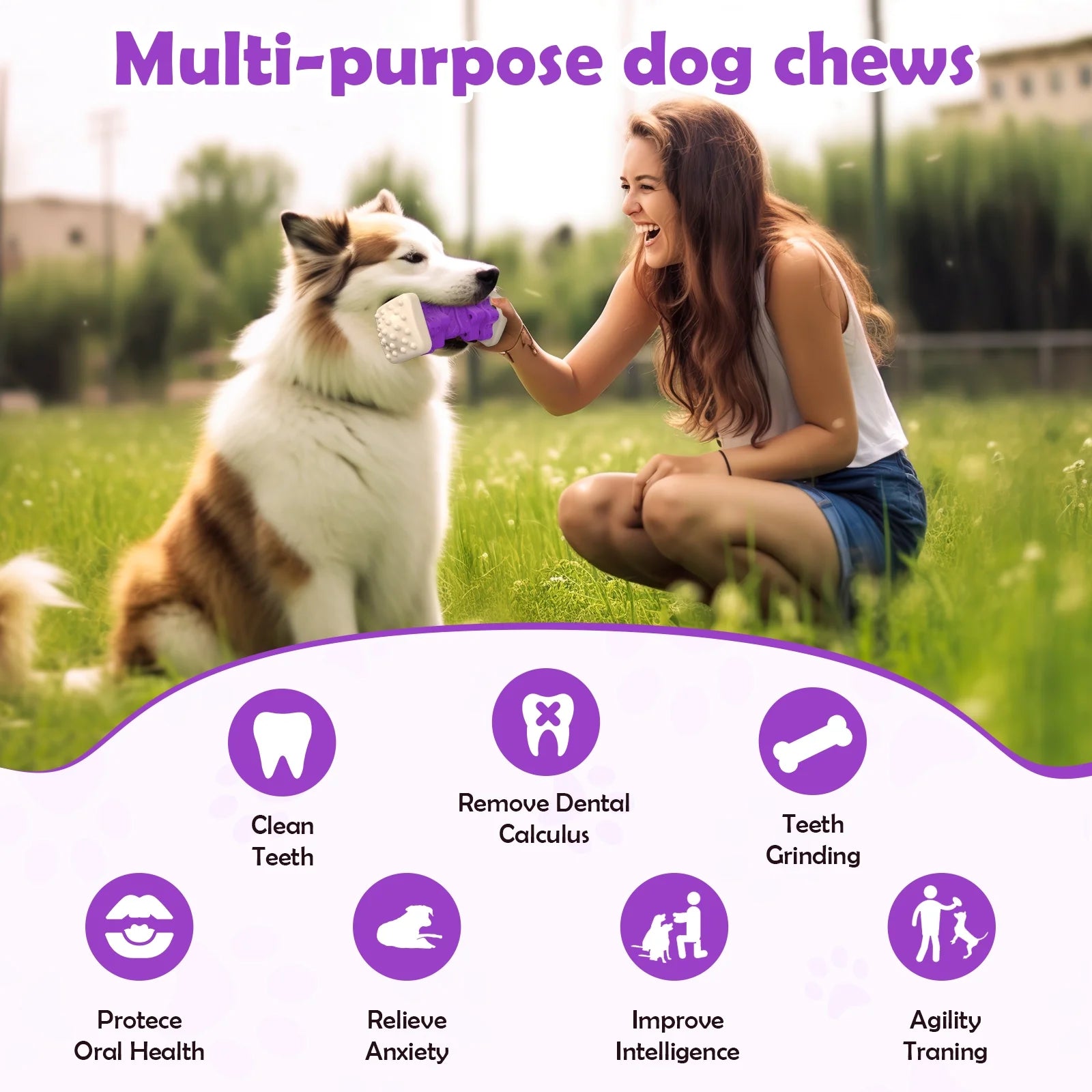 Juguete interactivo para Perro
