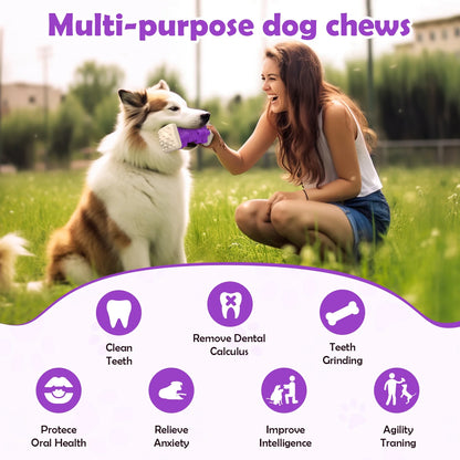 Juguete interactivo para Perro