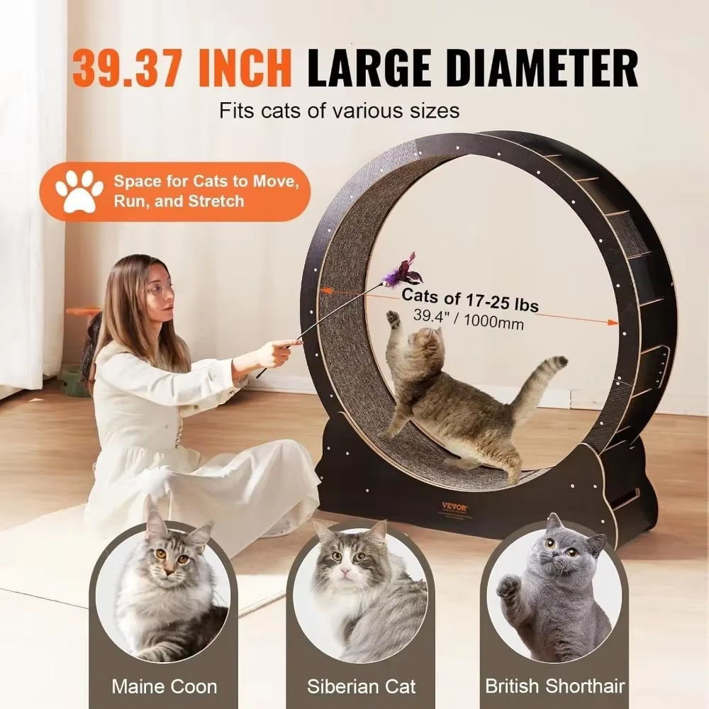 Rueda de Ejercicio para Gato Ultra Silencioso