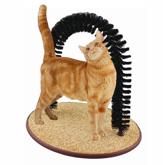 Arco Gatuno