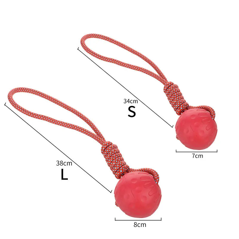 Pelota Indestructible para Perros