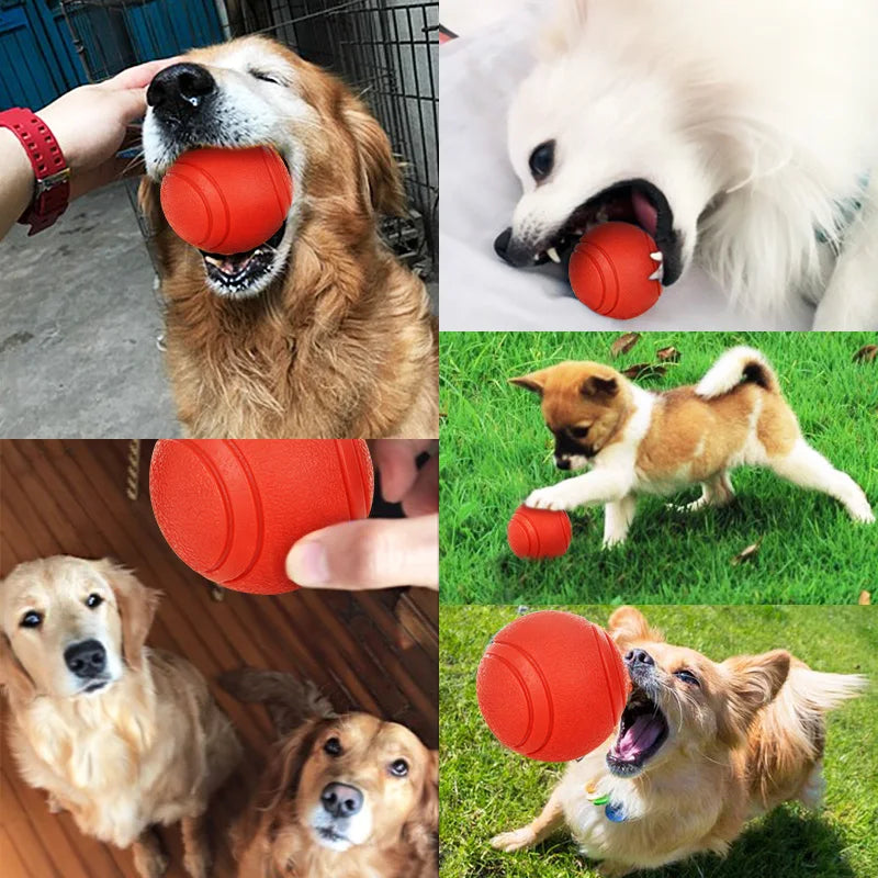 Pelota Indestructible para Perros