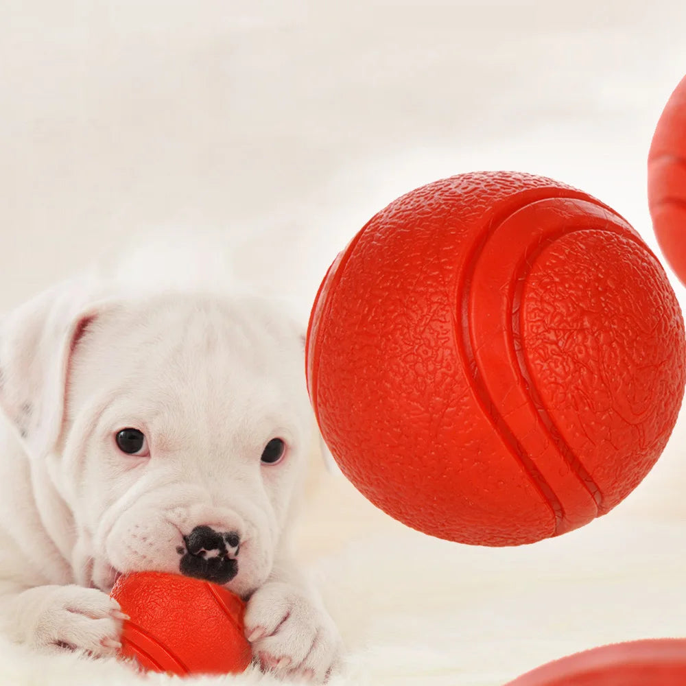 Pelota Indestructible para Perros