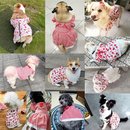 Vestido para Mascotas