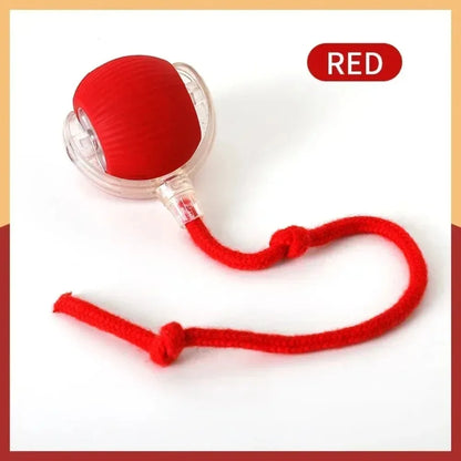Pelota Interactiva para Gatos