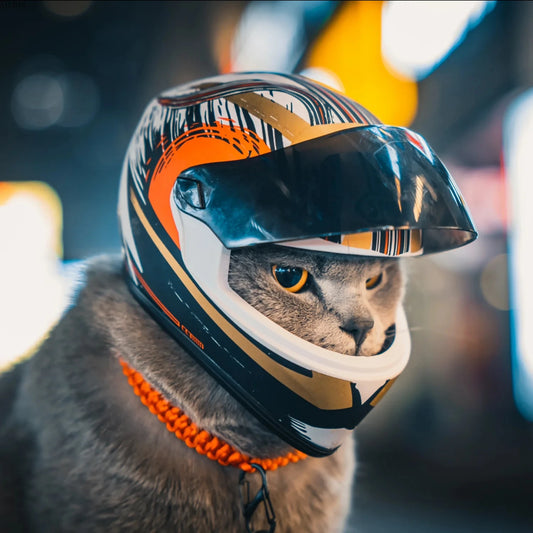 Casco para Mascotas