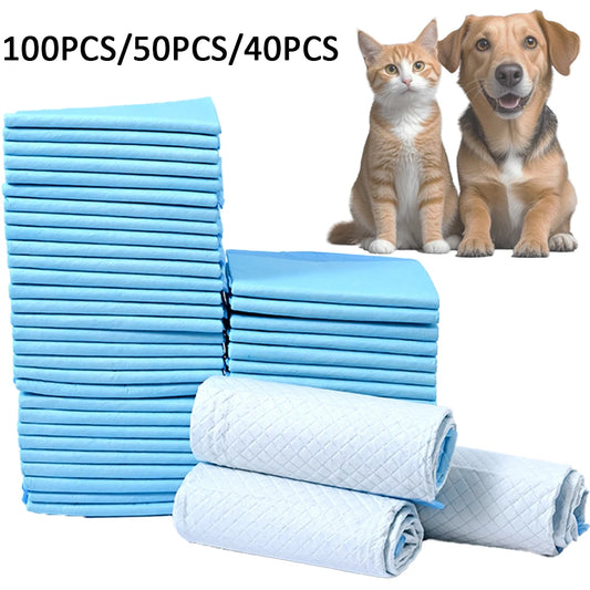Pañales Absorbentes para Mascotas