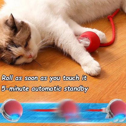 Pelota Interactiva para Gatos