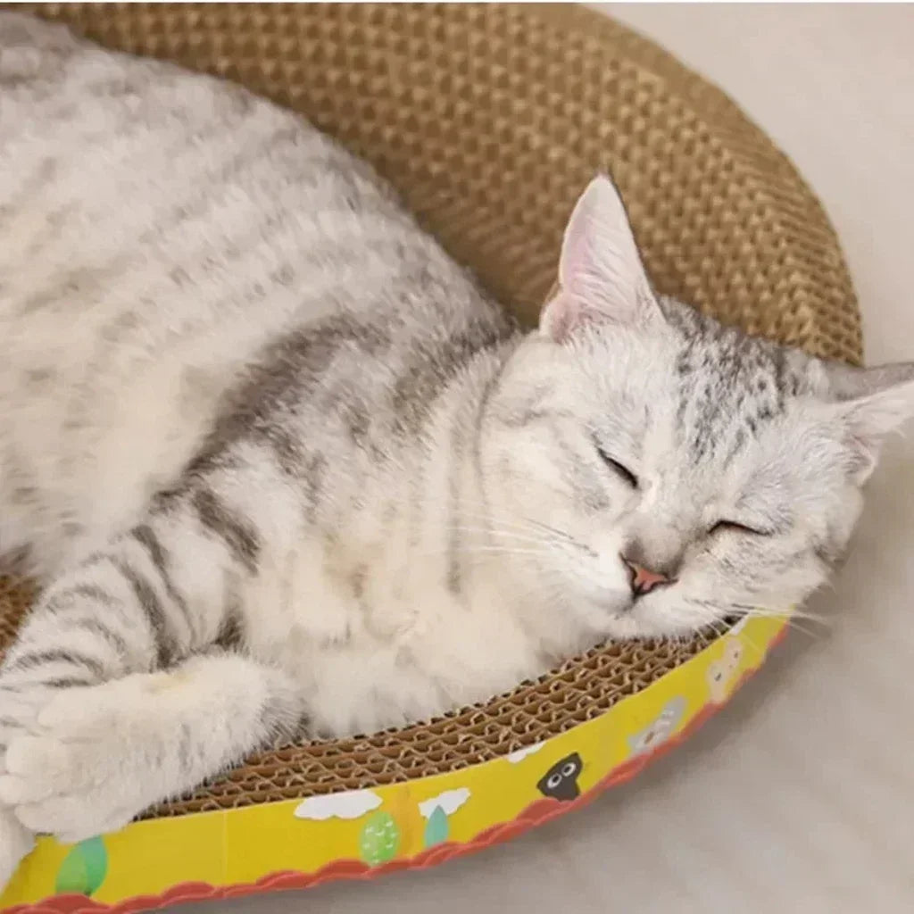 Cama Rascador para Gatos