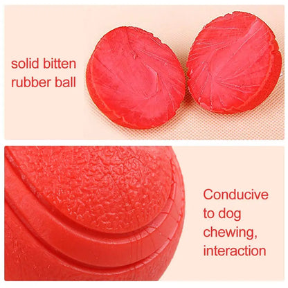 Pelota Indestructible para Perros