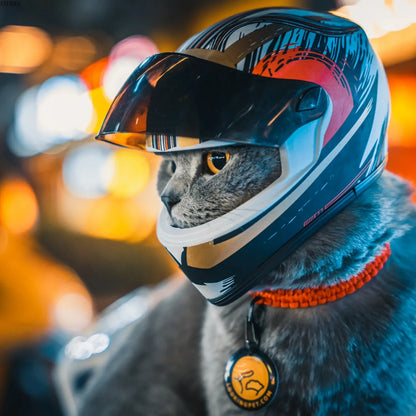 Casco para Mascotas