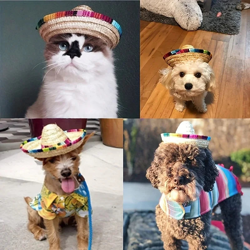Sombrero de Paja para Mascotas