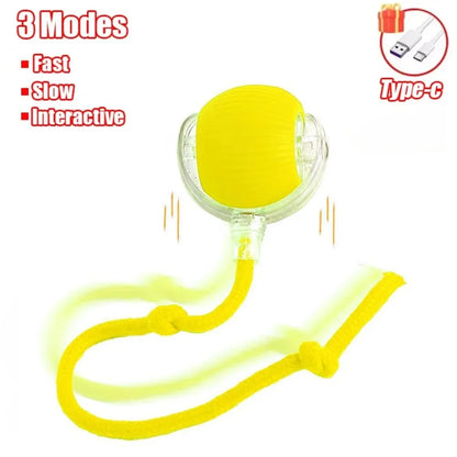 Pelota Interactiva para Gatos