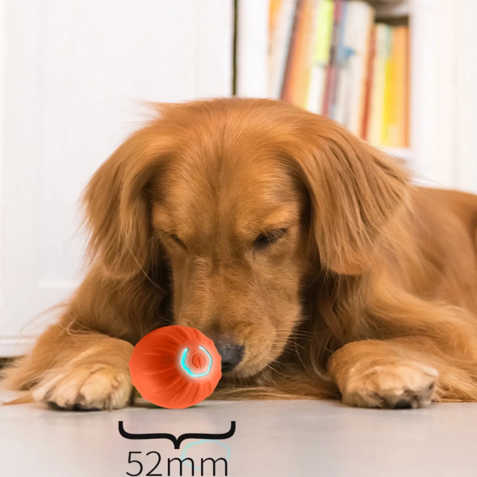 Pelota Inteligente para Perro